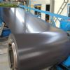 ppgl steel coils